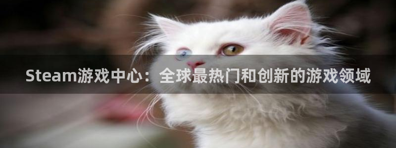 杏宇娱乐登录