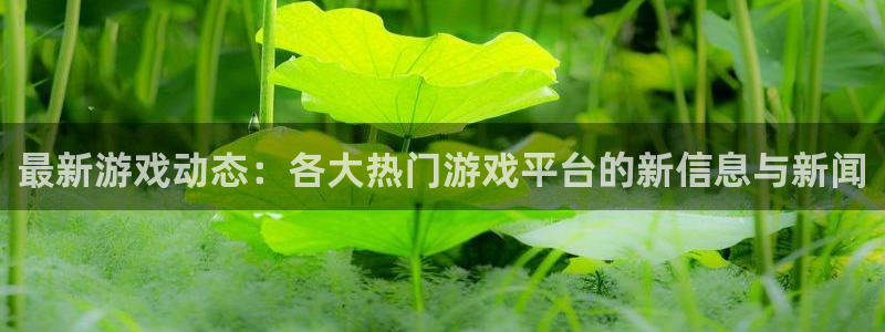 杏宇娱乐平台登录